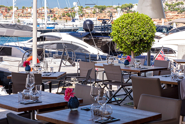 Port Adriano 50m 